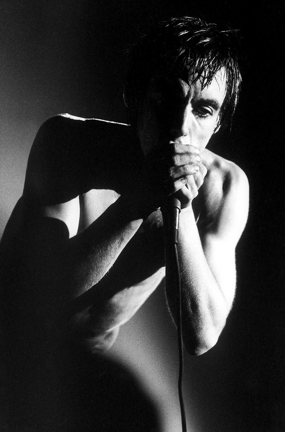 Iggy Pop